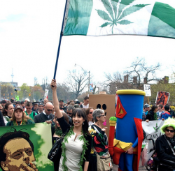 Jodie Emery and Bong Man leading the 2011 GMM.